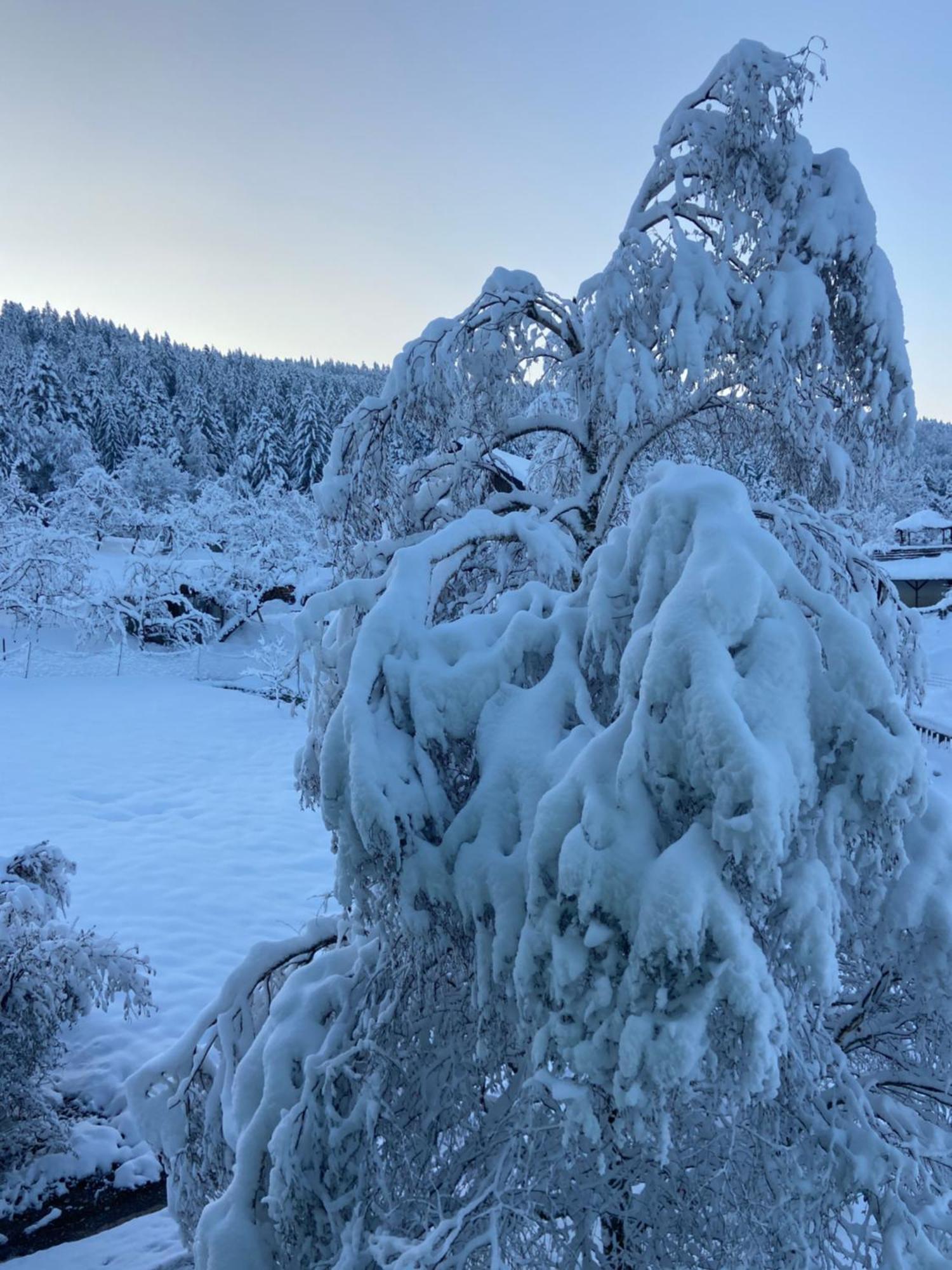 Allgaeu Cottage - Traumhafter Blick In Die Schweizer Berge Weiler-Simmerberg Zewnętrze zdjęcie